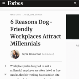 razões do porque os millennials preferem empresas pet friendly